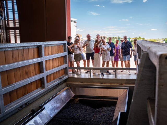 DriveLife_WineTour_45