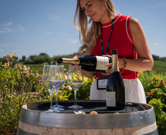 DriveLife_WineTour_27