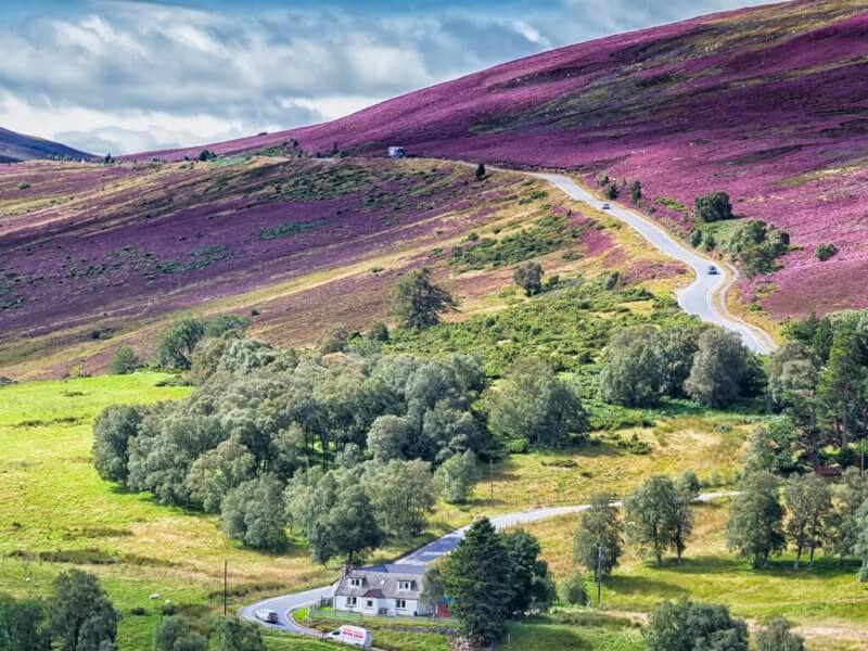 How to Drive in the Scottish Highlands Beautiful Road near Cairngorms National Park 1024x768